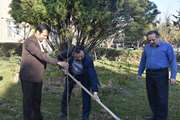 آیین کاشت نهال به مناسبت  هفته درختکاری در محوطه اداره کل برگزار شد
