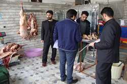 کشف و معدوسازی 240 کیلوگرم گوشت فاسد در شهرستان فیروزکوه