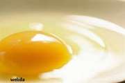 تخم‌مرغ باعث تقویت چشم ها می شود