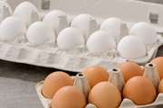 شهروندان توصیه ها  برای خرید تخم مرغ را جدی بگیرند/آیا شست شوی تخم مرغ کار درستی است؟