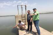 اجرای طرح پایش و مراقبت بیماری ویروسی در مزارع ماهی تهران