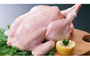  توصیه متخصصان تغذیه به مصرف مرغ‌های کوچک/ مرغ‌هایی ۱.۶ تا دو کیلوگرمی در بهترین شرایط سلامت هستند