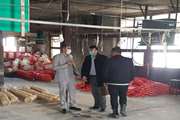 بازدید میدانی سرپرست اداره دامپزشکی پایتخت از دامداری ها و مزارع پرورش طیور اطراف تهران