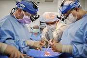 تیم پزشکی با سرپرستی یک جراح ایرانی قلب خوک را به دو بیمار مرگ مغزی پیوند زد
