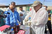 مانور کنترل و پیشگیری از شیوع بیماریهای ویروسی آبزیان در شهرستان فیروزکوه برگزار شد+تصاویر
