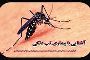 آشنایی با بیماری تب دنگی