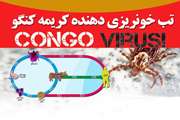     آشنایی با بیماری تب کریمه کنگو(CCHF)