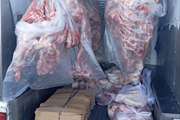 ضبط ۵۰۰ کیلوگرم گوشت قرمز فاقد مجوز بهداشتی حمل و تشکیل پرونده قضایی برای متخلف در شهرستان دماوند
