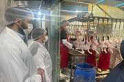 بازدید شبانه رئیس دامپزشکی شهریار از کشتارگاه طیور؛ تأکید بر ارتقای کیفیت و سلامت محصولات