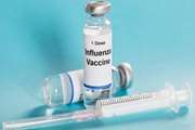  کارکنان سازمان دامپزشکی به عنوان یکی از گروه‌های «پرخطر» در اولویت تزریق واکسن آنفلوانزا هستند