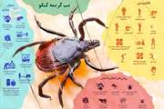 اطلاعیه اداره کل دامپزشکی استان تهران درخصوص بیماری تب کریمه-کنگو