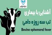 اطلاعیه اداره کل دامپزشکی استان تهران در خصوص شیوع بیماری تب ۳ روزه دامی