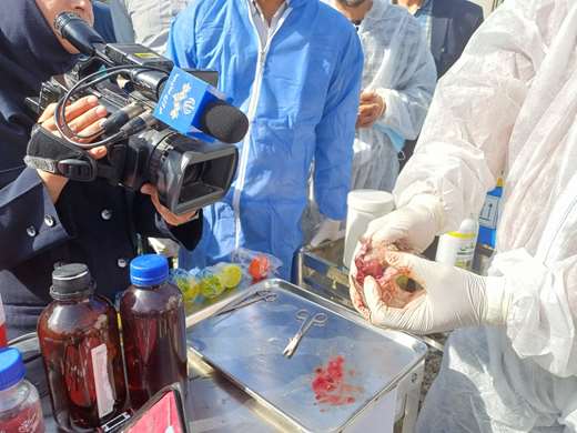 بازتاب مانورکنترل و پیشگیری از شیوع بیماریهای ویروسی آبزیان درشبکه 5 صدا و سیما