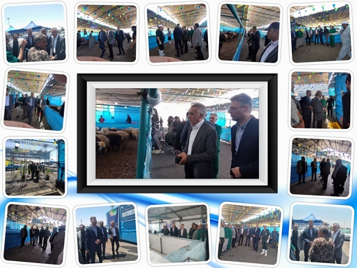 گزارش تصویری از بازدید مدیرکل دامپزشکی استان تهران از جایگاه های عرضه بهداشتی دام شهر تهران