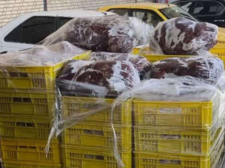 کشف و معدوم‌سازی ۷۰۰ کیلوگرم فرآورده خام دامی آلوده در شهرستان اسلامشهر