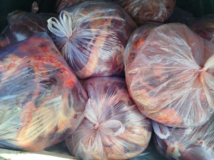              با حمل فرآورده خام دامی خارج از زنجیره سرد برخورد قانونی می شود