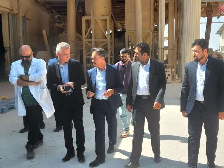 مدیرکل دامپزشکی استان تهران از کارخانه خوراک دام و طیور ماکیان نوآور در شهرستان پاکدشت بازدید کرد