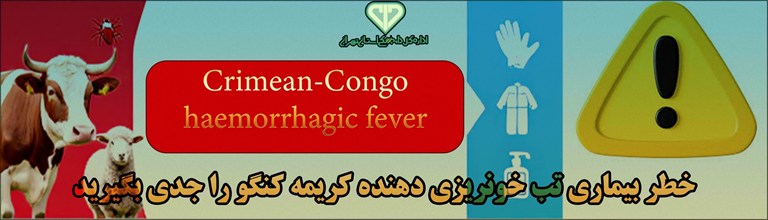 تب کریمه کنگو